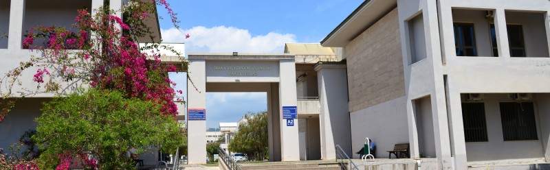 Genel Görünüm