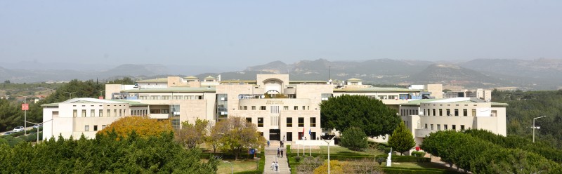 Genel Görünüm