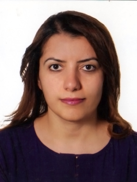 BİNAZ BOZKUR