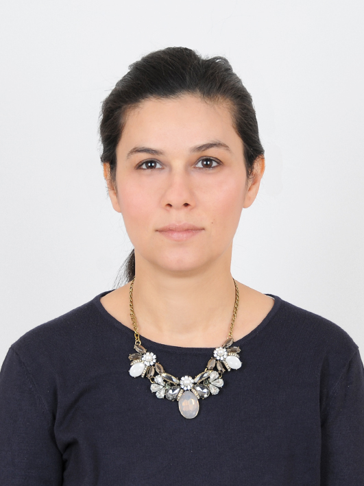 İREP KIROĞLU BAYAT