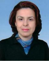MELTEM KAHYA DÜDÜKCÜ