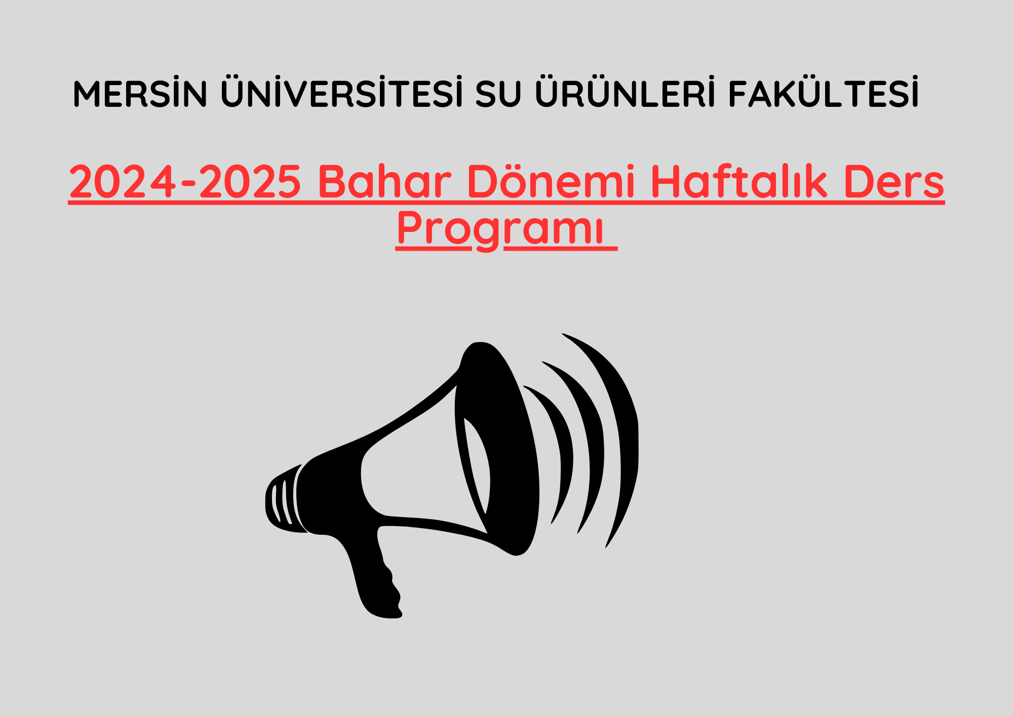 2024-2025 Bahar Dönemi Haftalık Ders Programı  detayı için tıklayınız